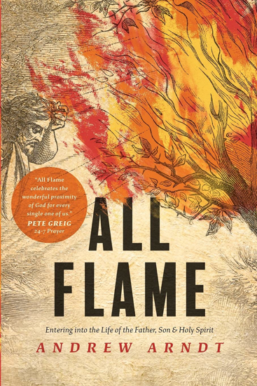 Picture of All Flame: Entering Into the Life of the Father, Son & Holy Spirit by Andrew Arndt