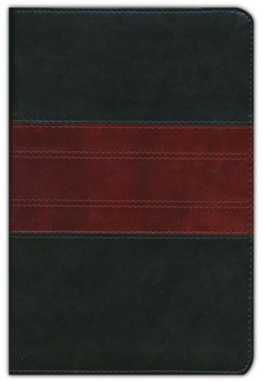 Picture of ESV Study Bible Personal Size forest tan trail design trutone. 7.5 point font